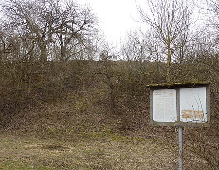 Infotafel an der Wallanlage Ried bei Monheim